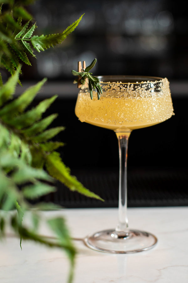 A golden cocktail in a coupe glass with a sparkling sugar rim, garnished with a rosemary sprig and cinnamon stick clipped to the edge, set against a dark background with green ferns