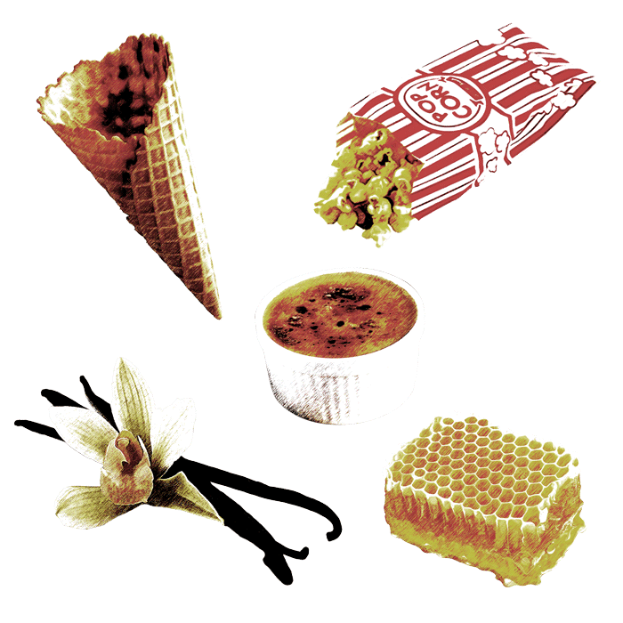 Illustrations of a vanilla ice cream cone, popcorn, cupcake, honeycomb, and vanilla bean on a white background.