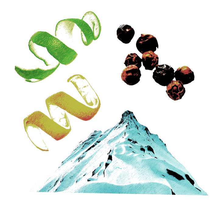 Illustration of green leaves, black berries, and a mountain on a white background