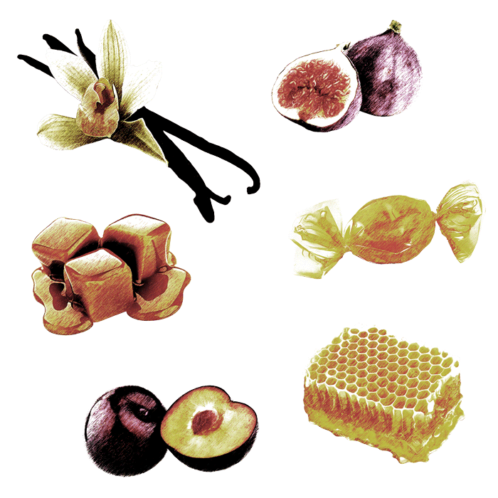 Collage of vanilla bean, figs, honeycomb, and plums on a white background